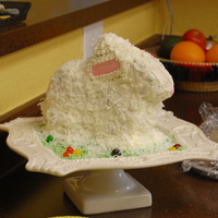 3D Bunny Cake Disaster This 3D molded bunny cake was baked in an old pan set I inherited from my mom's pan collection. I didn't bake it long enough and...