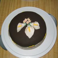 Calla Lilly First attempt at Sugar paste flowers