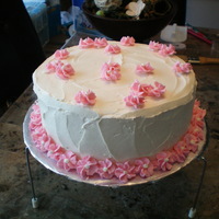 Pink Flowers This was right out of the Wilton book, I like it because it was simply and pretty for a friends birthday.