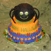 Spider Cake All cake, licorice spider legs