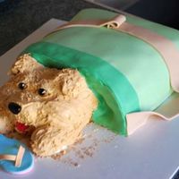 Tote-Ally Naughty This was my first attempt at carving a cake. I got this idea because my puppy has chewed up 2 pairs of my sandals. The flip flop is made...