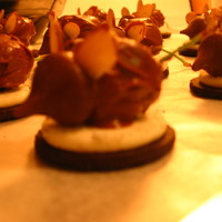 Chocolate Mouse THe body is a chocolate dipped cherry, with the stem as a tail.