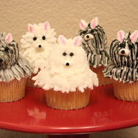 Dog Cupcakes I made these out of an idea from a book. I think they came out alright. The ears and nose are made from marshmallows.