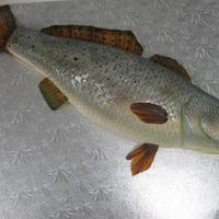 Speckled Trout Half sheet cake cut in half, stacked, then carved into the shape of a fish.