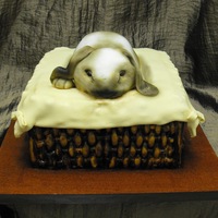 Bunny In A Basket Basket was covered in fondant that was weaved together by hand. Bunny was sculpted out of cake with a rice crispy treat head.