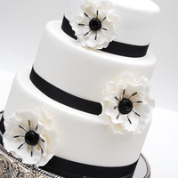 Black And White Anemone 