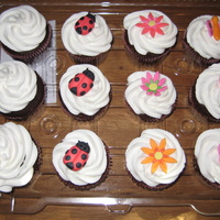 Floral And Critter Cupcakes My daughter likes ladybugs and flowers, so I made them for her birthday. All fondant.