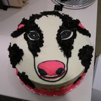 Black And White Cow For Abby's Birthday 