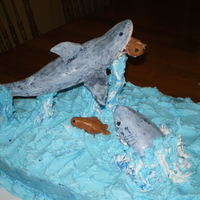 Flying Great White Shark Cake My boys LOVE to watch the shark shows on the Discover channel and they requested a cake with "Great Whites jumping out of the water...