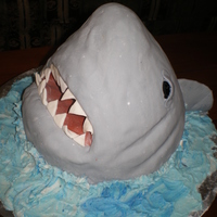 Shark Cake! Chocolate cake covered in marshmellow fondant with buttercream "water".