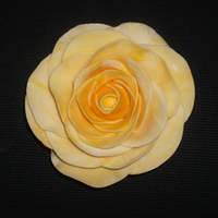 Yellow Rose 