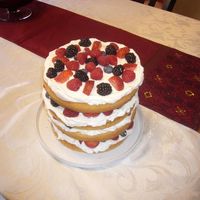 Good Fruit Cake I made this for the Super Bowl. It seems that a summer berry cake is appropriate in February to remind everyone that winter won't last...