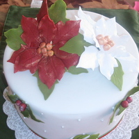 Poensettia My first poensettia! TFL