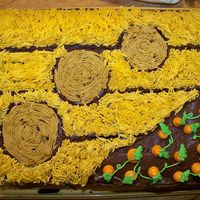 Crop Circles Just a fun Crop Circle cake....I had just purchached the hair/grass tip and wanted to use it...so here you go. Thanks for looking.