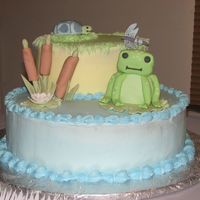 Frog Baby Shower My cousin is doing her nursery in a frog theme so, I looked at a pic frame and made all the figures out of gumpaste. The cake is iced in...
