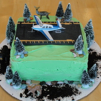 Airplane Cake 