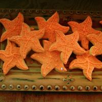 Starfish 