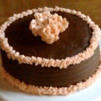 Practice Cake Dark Chocolate Cake with Chocolate Ganache and Raspberry Filling, Dark Chocolate BC, Raspberry BC Accents. Still working on my flowers.