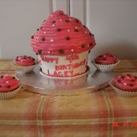 Giant Cupcake Giant cupcake decorated with hot pink icing and brown and white polk dots. Later I thought I should have used a chocolate chip turned...