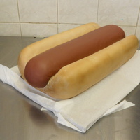 Plain Hotdog 