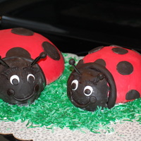 Lady Bugs 