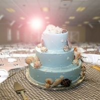 The Perfect Cake This was the perfect ocean cake. Ocean blue buttercream icing with real yes I said REAL shells sitting ontop of an actual fishing net. What...