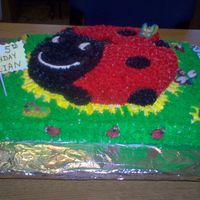 001.jpg Lady Bug Cake