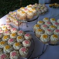 Wedding Cupcakes For Chris And Meg White choc w/ raspberry filling. bc frosting. each had it's own little fondant flower