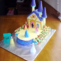 Disney Princess Cake My daughter wanted a princess house cake not a castle. This is a square cake with half of a six inch circle cake pan and the house is a...