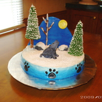 The Wolf Cake This is a round cake iced with buttercream. I got this idea from another user named spitefiresas21 (thanks). It has fondant foot prints...