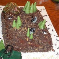 Turkey This is a chocolate cake 9x13. It is covered in chocolate frosting, I crushed golden ghrams, oreo cookies and ghram crakers, and sprinkled...