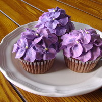 Hydrangeas Just practicing my hydrangeas for an up-coming cake.