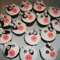 Cow Cupcakes Chocolate Cake with Fondant Icing.