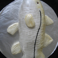 Snook Cake I made this for my husband's birthday. While it didn't quite resemble a snook as closely as I had hoped, I thought it was at...