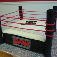 Wwe Birthday Cake this was really a good learning experience! Mostly copied from a picture of a cake I had spotted somewhere online, I made this cake with...