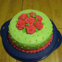 Course 1 Cake i made this cake for wilton course 1. i was very pleased. its a vanilla cake with chocolate pudding filling. i used my favorite colors.