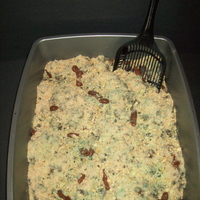 Kitty Litter Box 