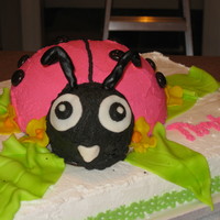 Lady Bug Cake Cake done for 5 year olds party. Got my ideas from many of the cakes i saw on this site (thanks everyone) and put the ones I liked together...