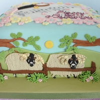 80Th Birthday Animal Cake I was asked to make an 80th birthday cake for the mother of some good friends of mine. They asked for a 'this is your life/favourite...