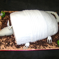 Armadillo Cake Groom's cake