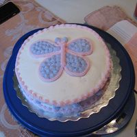 Butterfly Cake I had an extra cake so I decorated it with a butterfly for a girls night treat.