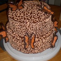 Butterfly Cake Birthday cake I made for my friend...it's not perfect but I'm pretty new at cake decorating and this was my first attempt at a...