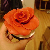 First Time Rose Clay Cupcakes 