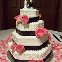 Simple Elegance My bride wanted a simple look, so I incorporated the cornelli lace in alternating layers with dots. The cake topper is just adorable. The...