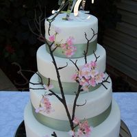 Clean, Crisp & Makes A Statement! This fondant covered cake is wrapped with a light sage ribbon and adorned with a cherry blossom branch! Very simple, yet very elegant!
