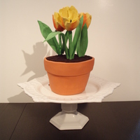 Tulip Cake My first attempt at gumpaste flowers. I need to thank the internet because a lady had offered a full how-to for tulips on her blog. The pot...