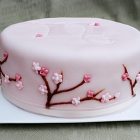 Nat's Birthday Cake This was the second cake I ever made (ever - not even a Betty Crocker came before this one!). I had bought fondant to attempt a first...