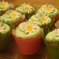 Daisy Cupcakes These are classic yellow cake with buttercream and gum paste daisies. Trying out my new Cupcake Wrapper Cricut cartridge.
