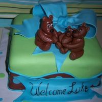 Boy Shower Chocolate cake with MMF and teddy bear