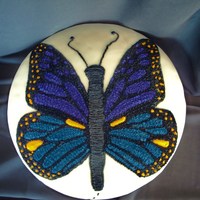 Butterfly Cake 